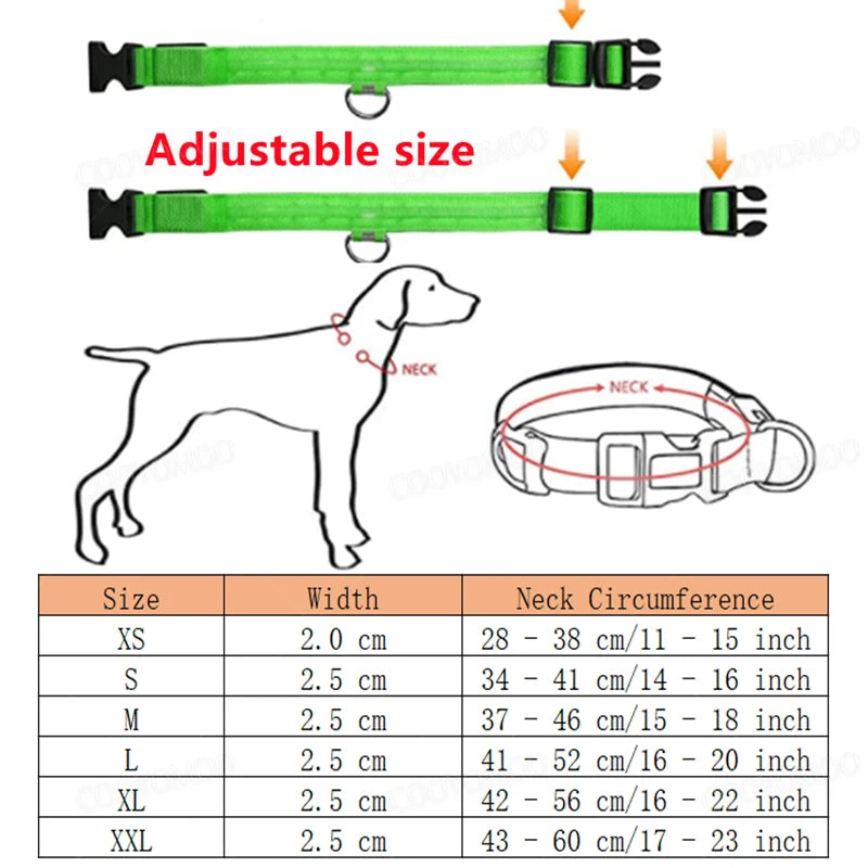 Collare Luminoso LED Ricaricabile USB per Cani e Gatti