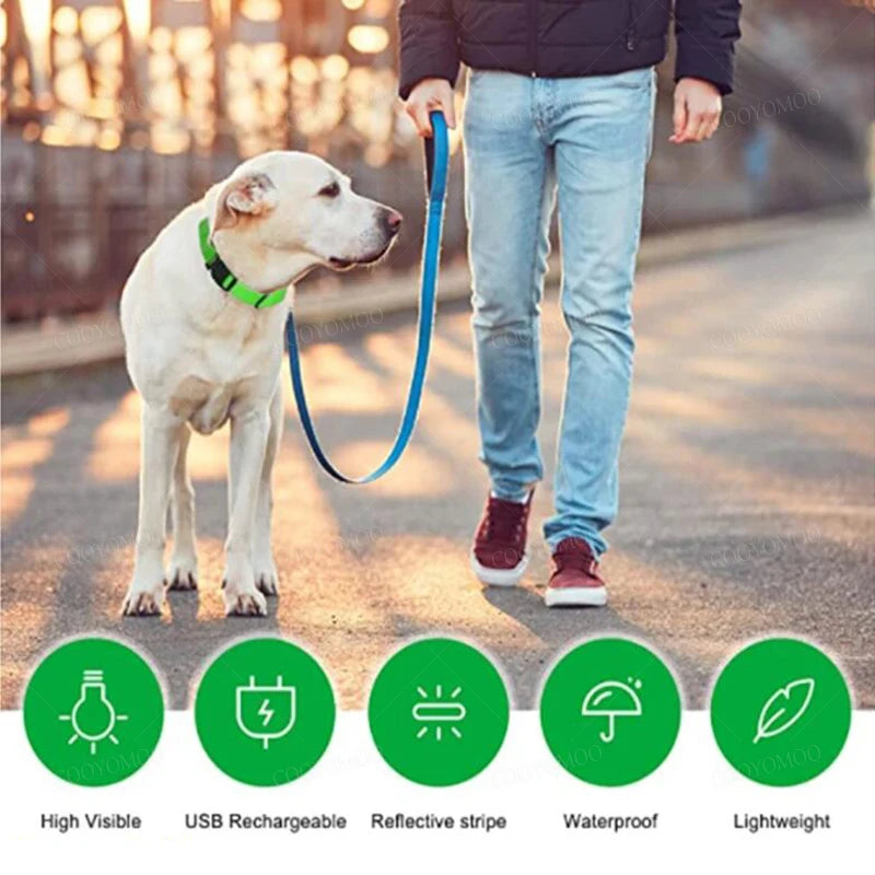 Collare Luminoso LED Ricaricabile USB per Cani e Gatti