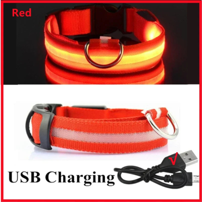 Collare Luminoso LED Ricaricabile USB per Cani e Gatti