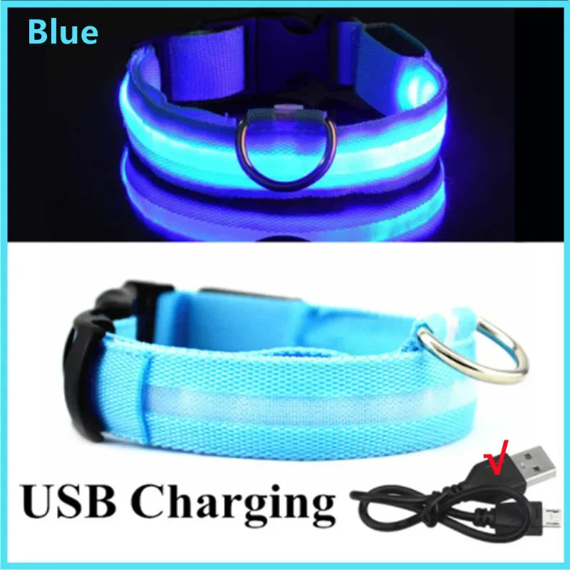 Collare Luminoso LED Ricaricabile USB per Cani e Gatti