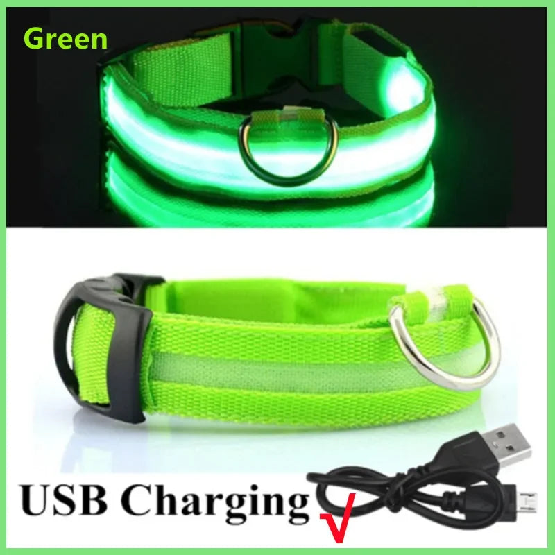 Collare Luminoso LED Ricaricabile USB per Cani e Gatti