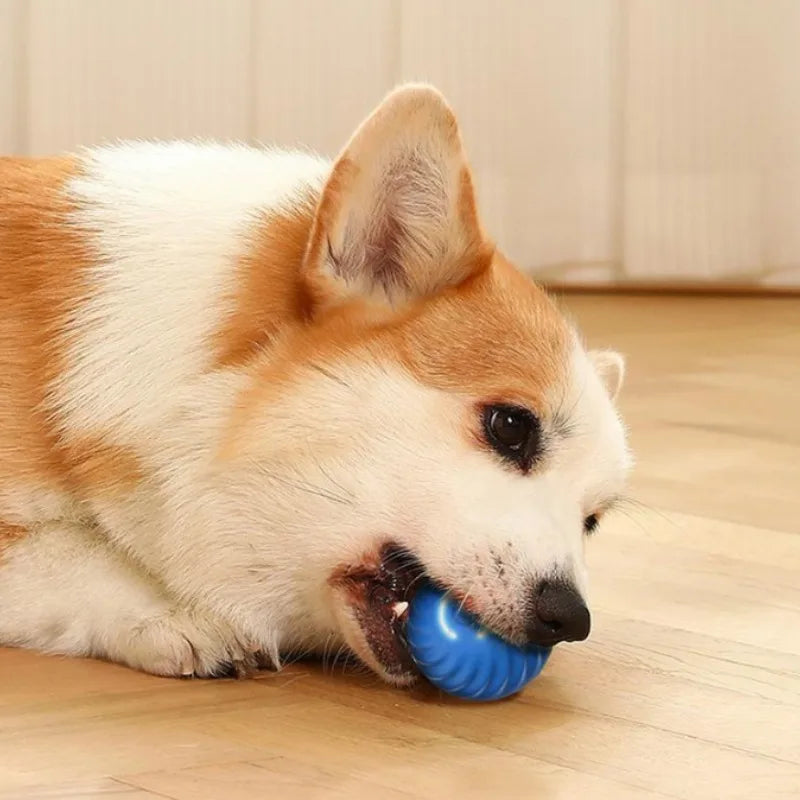 Pallina Interattiva Automatica per Cani — Rotola e Salta da Sola, Ricaricabile USB