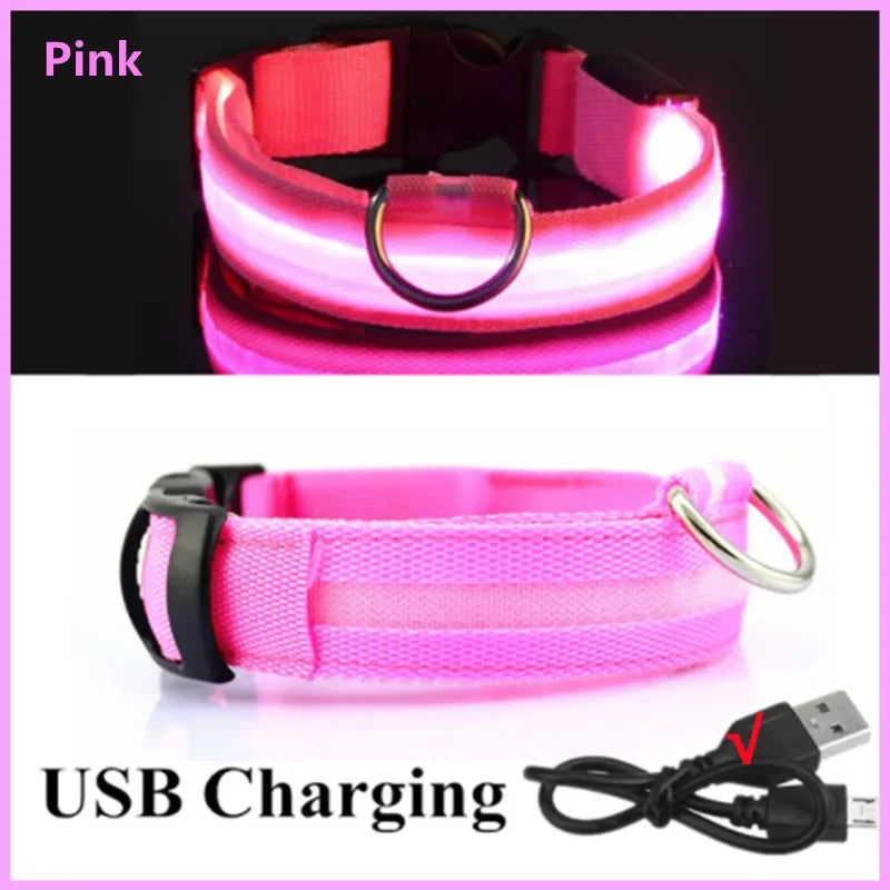Collare Luminoso LED Ricaricabile USB per Cani e Gatti