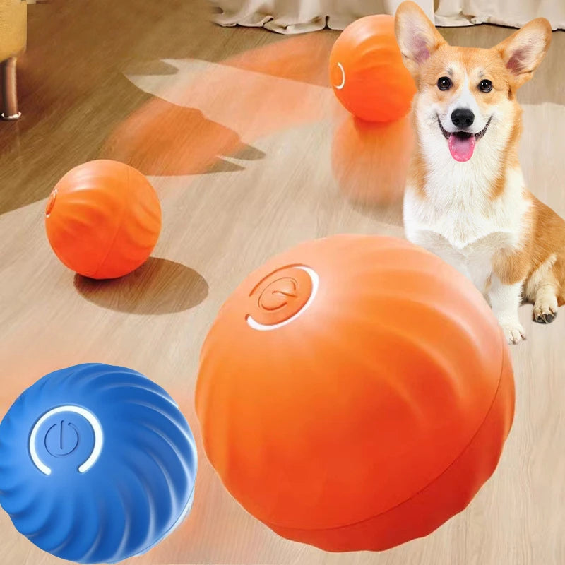 Pallina Interattiva Automatica per Cani — Rotola e Salta da Sola, Ricaricabile USB