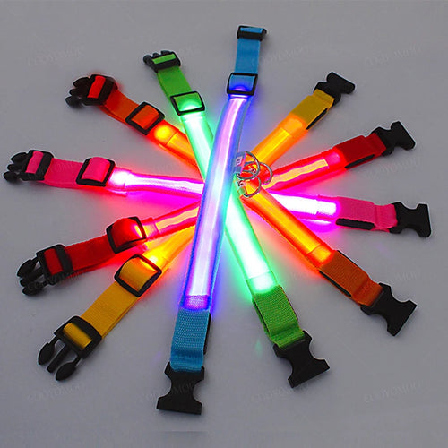 Collare Luminoso LED Ricaricabile USB per Cani e Gatti