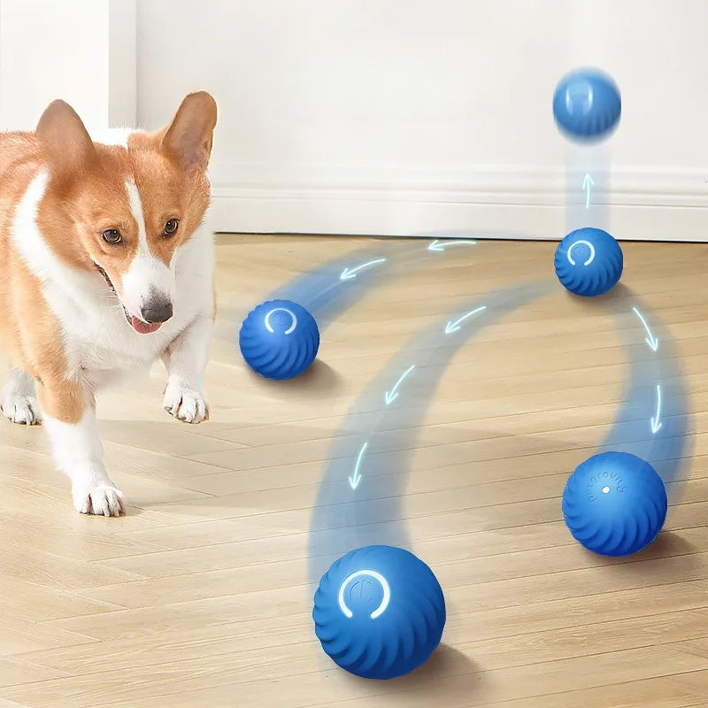 Pallina Interattiva Automatica per Cani — Rotola e Salta da Sola, Ricaricabile USB