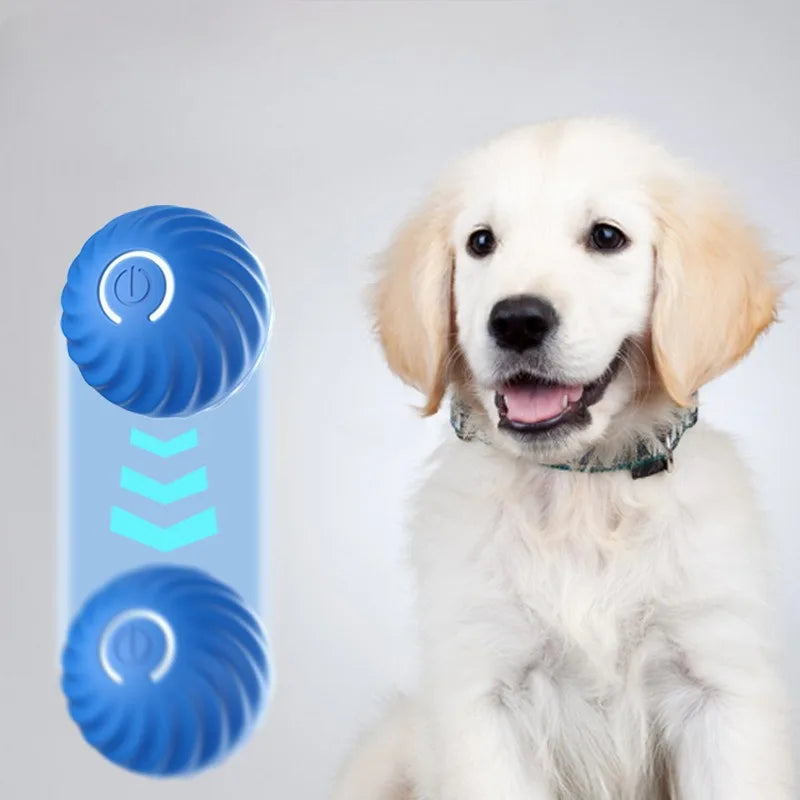 Pallina Interattiva Automatica per Cani — Rotola e Salta da Sola, Ricaricabile USB