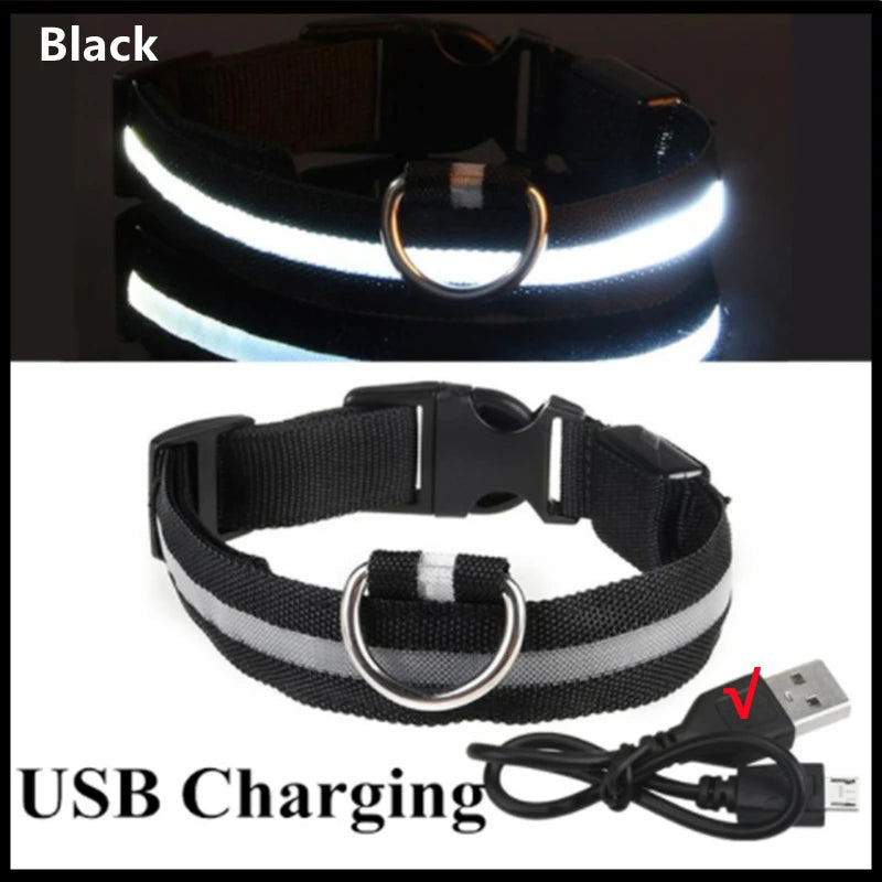Collare Luminoso LED Ricaricabile USB per Cani e Gatti