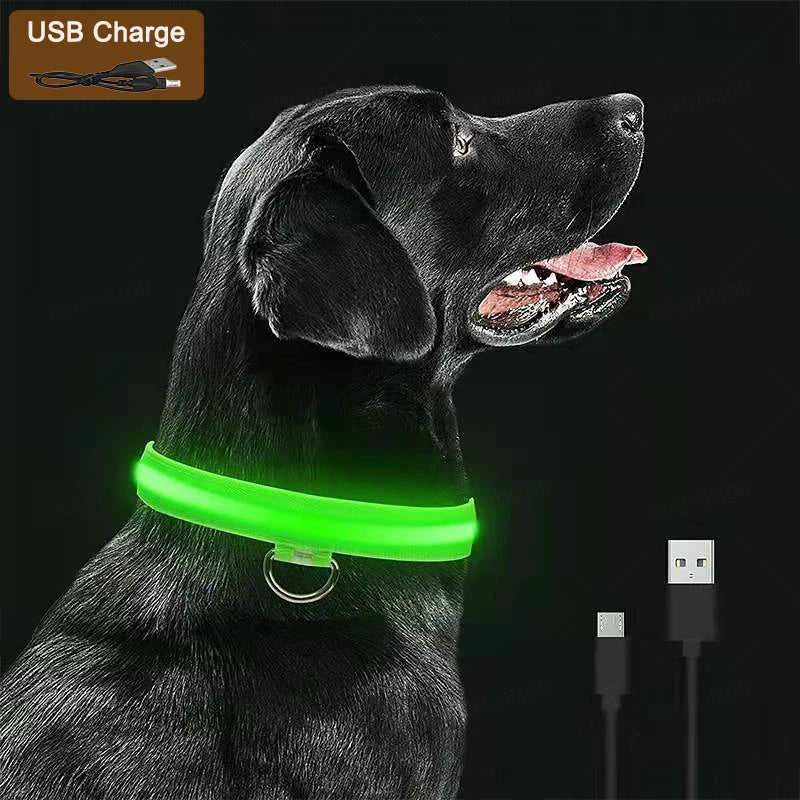 Collare Luminoso LED Ricaricabile USB per Cani e Gatti