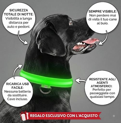 Collare Luminoso LED Ricaricabile USB per Cani e Gatti