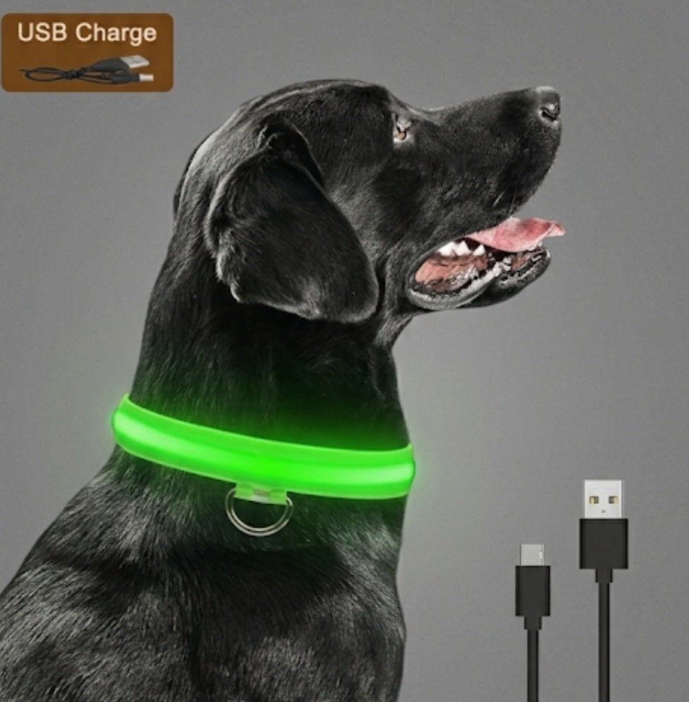 LED-Leuchthalsband für Hunde und Katzen, USB wiederaufladbar